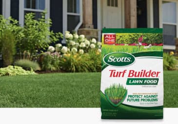 Feed Your Lawn