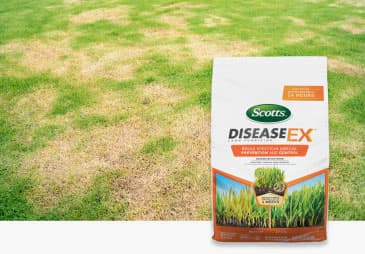 Garden & Lawn Disease