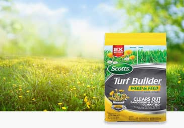 Kill Weeds & Feeds