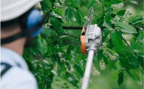Pole Saws